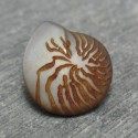 Bouton verre coquillage beige 17mm 