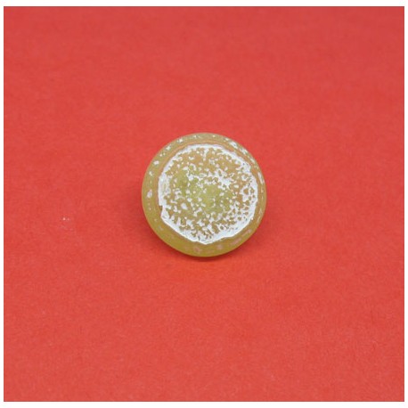 Bouton tranche de citron vert 12mm