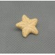 Bouton étoile de mer pèche 18mm