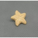 Bouton étoile de mer verni pèche 18mm