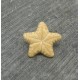 Bouton étoile de mer verni pèche 15mm