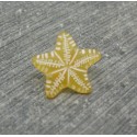 Bouton étoile de mer ocre 12mm