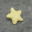 Bouton étoile de mer jaune émaillé verni 18mm