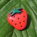 Bouton fraise 16 mm b40