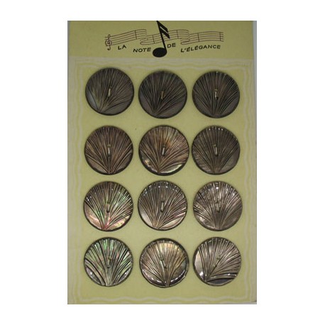 Plaque N°34  12 nacres coquillage marron 31mm