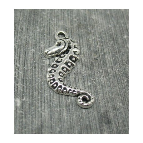 Charm hippocampe 28mm