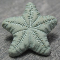 Bouton étoile de mer vert amande 15mm