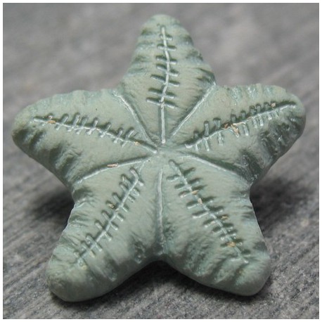 Bouton étoile de mer vert amande 15mm