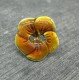 Bouton fleur base véritable argent orange email 20mm