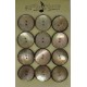 Plaque N°49 12 trocas beige 36mm