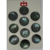 Plaque N°53 : 10 trocas vert acier 31mm
