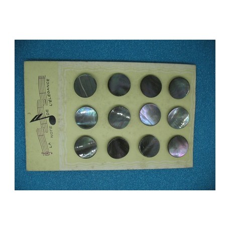 Plaque N°62  12 nacres à pied Tahiti 22mm