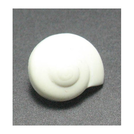 Bouton escargot crème 16mm