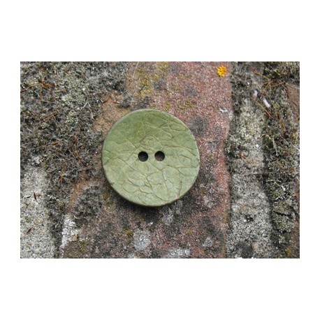 Bouton coco vert anisé 25mm