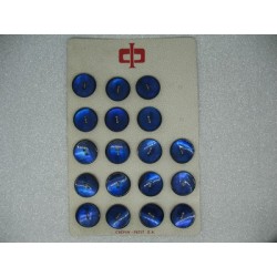 Plaque N°57B 18 boutons nacre trocas bleu 22mm