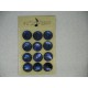 Plaque N°65  12 boutons nacre trocas bleu 27mm