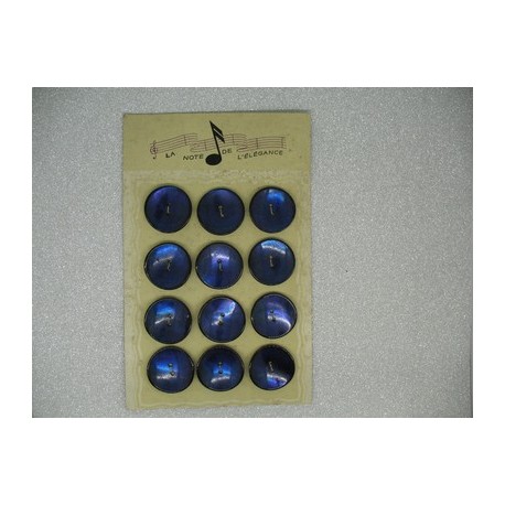Plaque N°65  12 boutons nacre trocas bleu 27mm