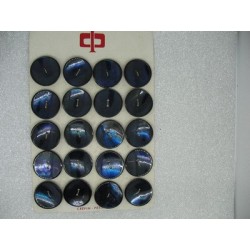 Plaque N°66 20 boutons nacre trocas bleu acier 27mm