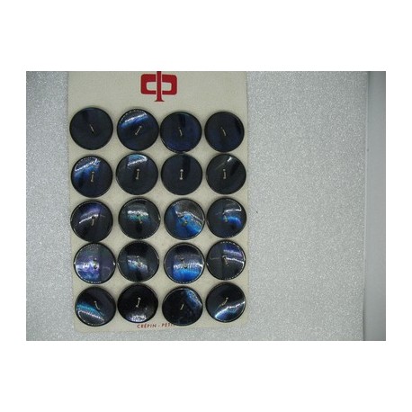 Plaque N°66 20 boutons nacre trocas bleu acier 27mm