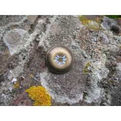 Bouton edelweiss frappé métal vieil or 22mm
