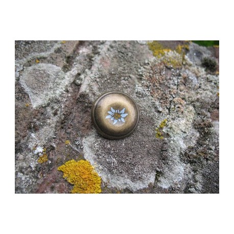 Bouton edelweiss frappé métal vieil or 22mm