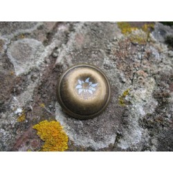 Bouton edelweiss frappé métal vieil or 29mm