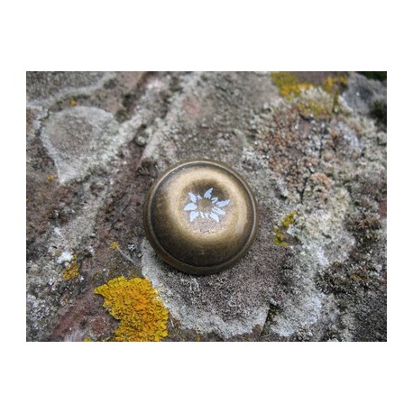 Bouton edelweiss frappé métal vieil or 29mm