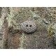 Bouton gaufre oval vert 15mm