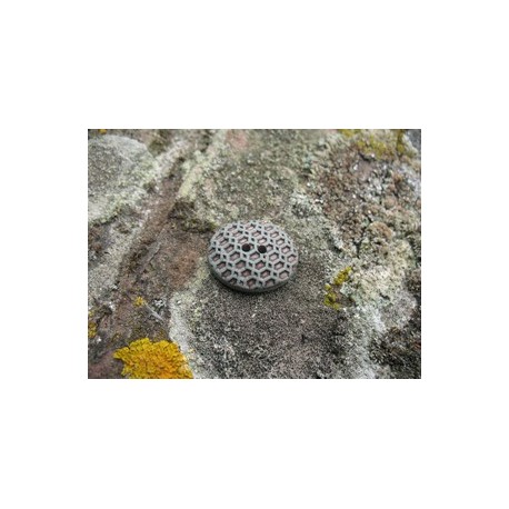 Bouton gaufre oval vert 18mm