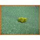 Bouton abeille jaune  N°11  12mm