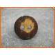 Bouton coco naturel verni 28mm