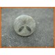 Bouton 4 trous oval gris bleu 25mm
