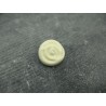 Bouton rose fleur écru verni émaillé 15mm