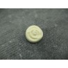 Bouton rose fleur écru verni émaillé 10mm