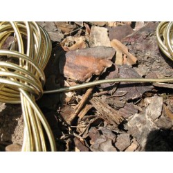 Elastique rond or 2mm