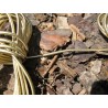 Elastique rond or 2mm
