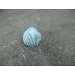 Bouton coquillage ciel blanc 15mm
