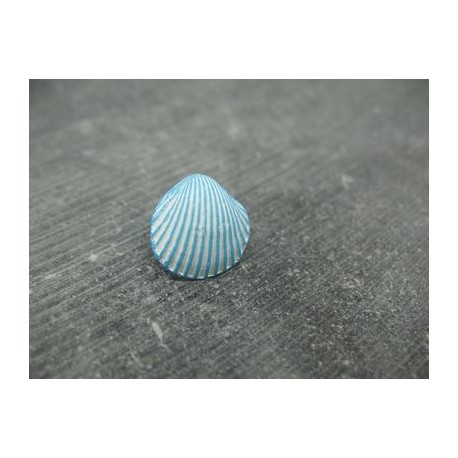 Bouton coquillage ciel blanc 15mm