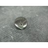 Bouton nacre Tahiti ancienne gravé feuille 14mm